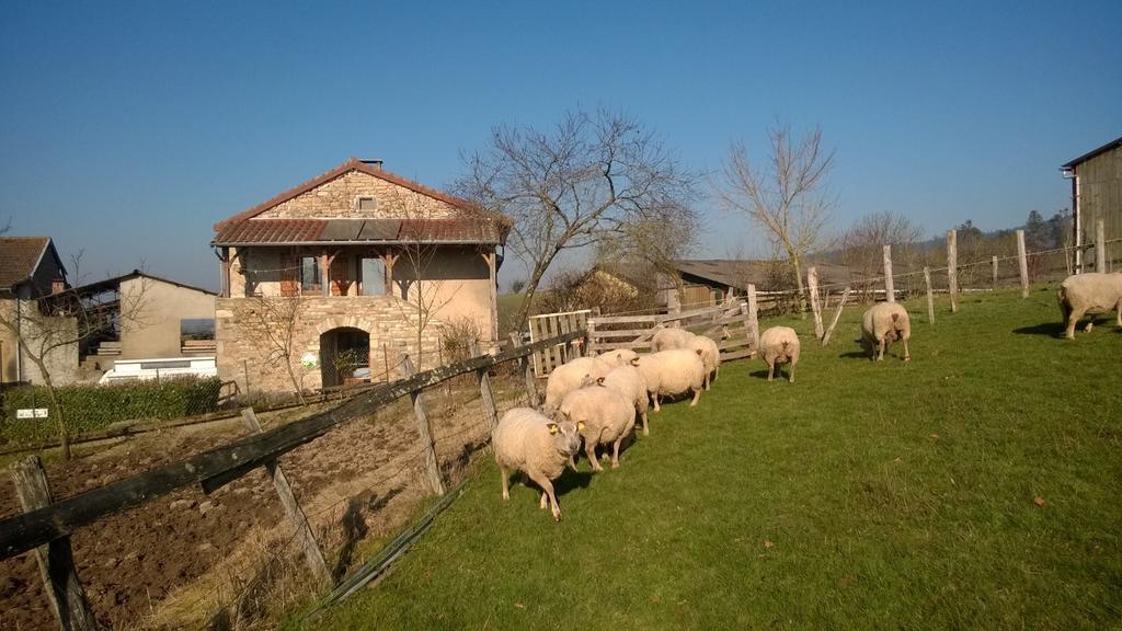 Ferme de la Corbette Bed and Breakfast Cluny Exteriör bild